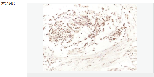 60583c4864a8a.png image.png