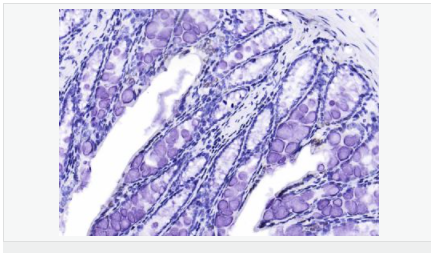 6058503c02463.png image.png