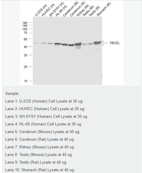 6078e57e0f789.png image.png